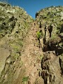 2014 Edinburgh 2014-07-09 077